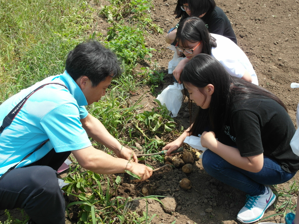 소비자 농업농촌 체험 백년초 페스티벌 - 농업 체험